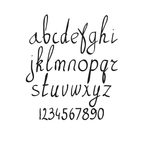 Handwritten brush alphabet on white background vector image