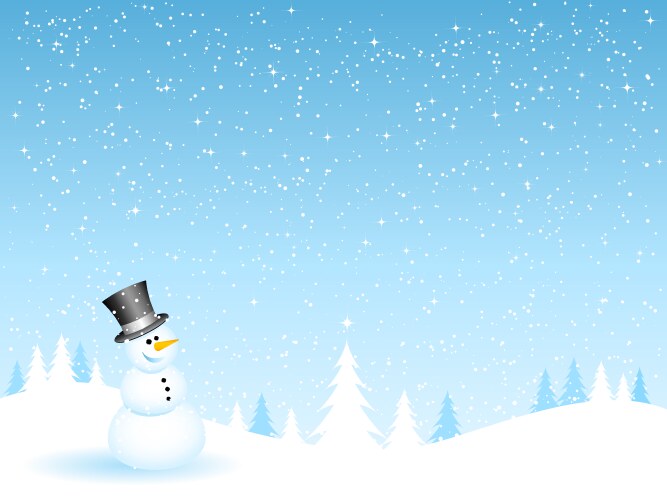 Snowman on a snowy night vector image