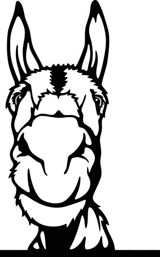 Peeking donkey - funny farm animals out vector image