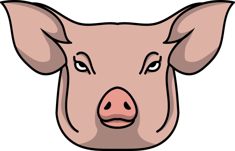 Pig vector image