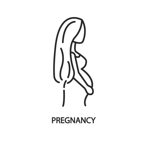 silhouette a pregnant woman line icon she has vector image