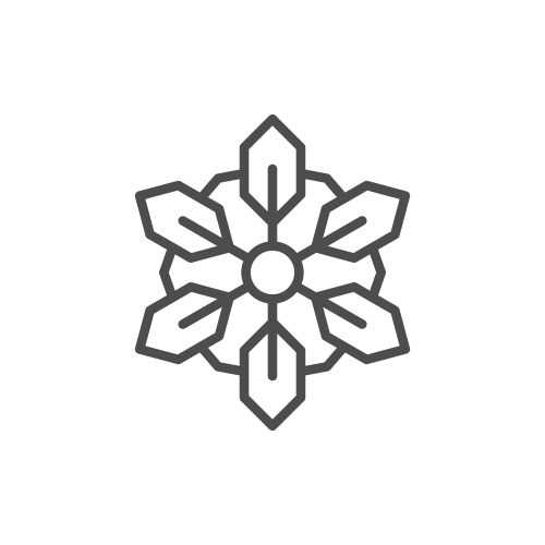 Snowflake line icon vector image