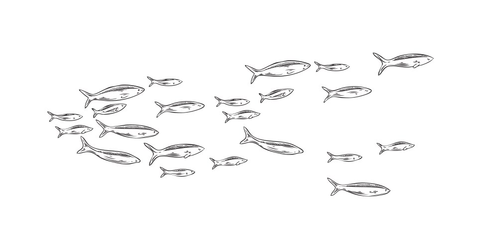 Hand drawn marine school of fish sketch style vector image