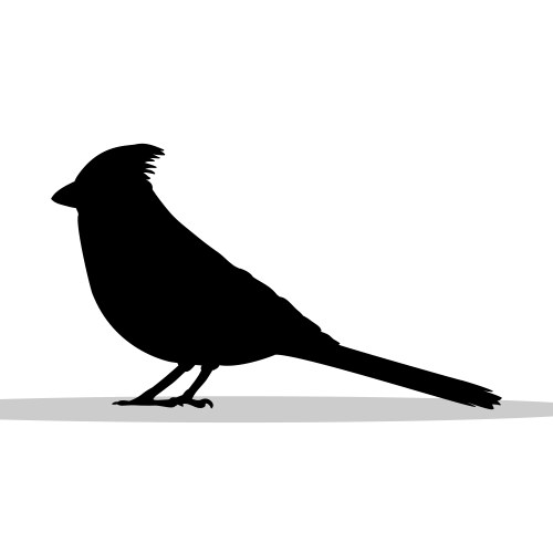 Cardinal bird black silhouette animal vector image