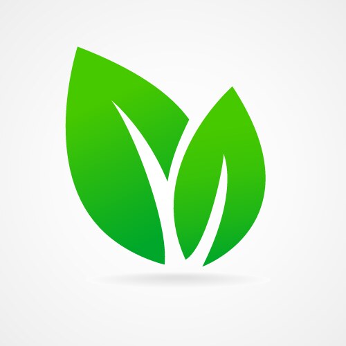 eco icon green leaf vector image