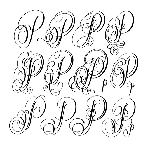 Calligraphy lettering script font p set hand vector image