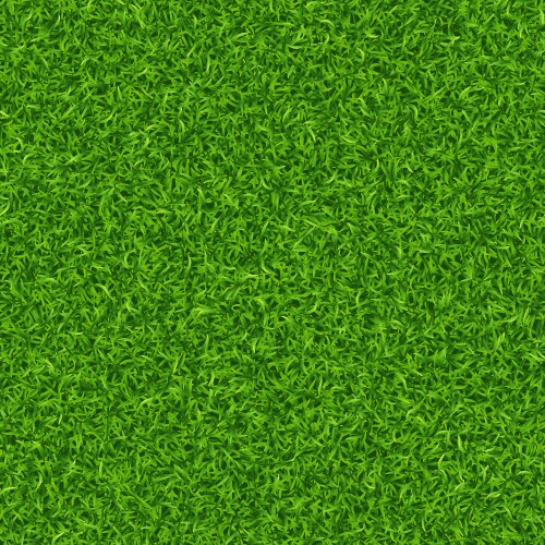 Lawn grass texture seamless pattern vector image