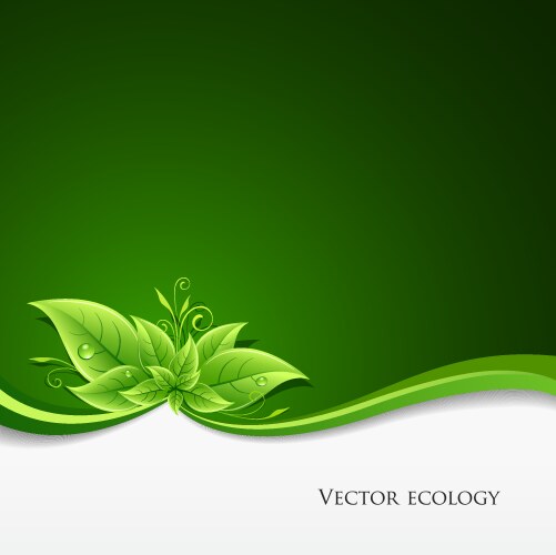 Green leaf ecology on background vector image