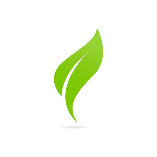 eco icon green leaf vector image