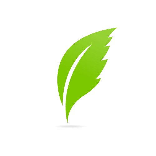 Eco icon green leaf vector image