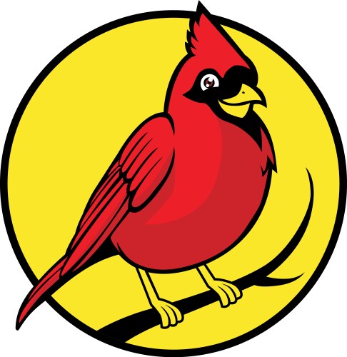 Cardinal bird vector image