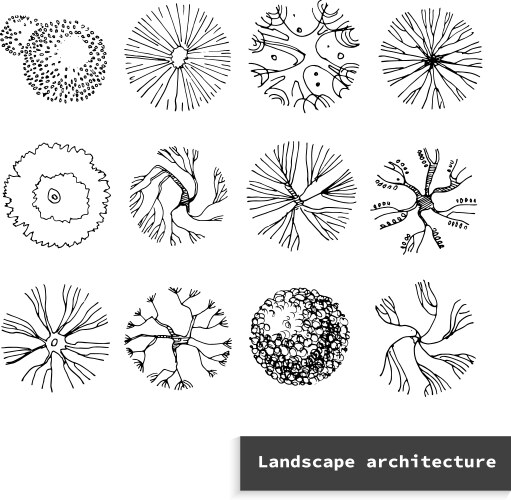 Top view set different treeshand drawn vector image