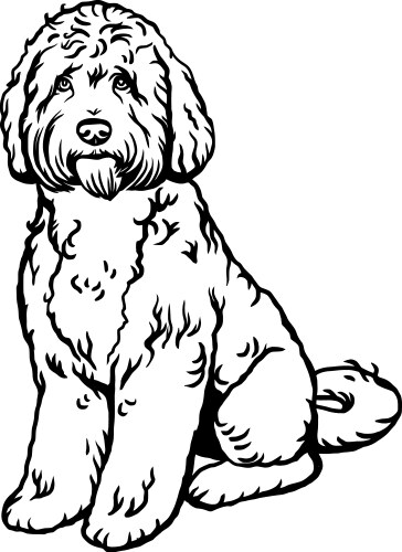 Labradoodle - dog breed funny file vector image