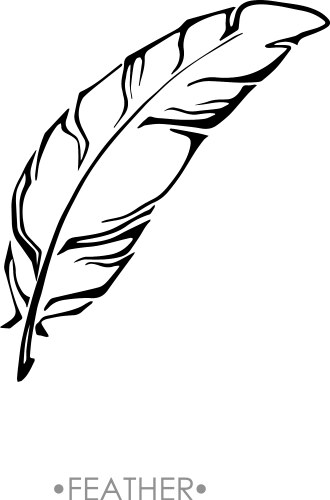 Indian boho feather hand drawn vector image