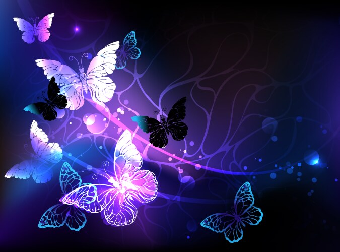 Background with night butterflies vector image