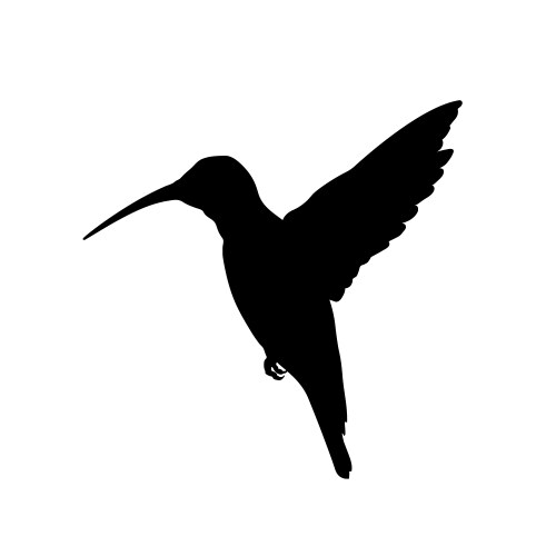 Black silhouette of colibri isolated image vector image