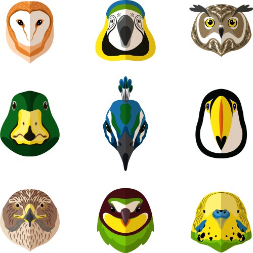 wild bird set vector image