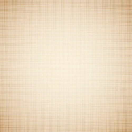 Canvas texture vector image