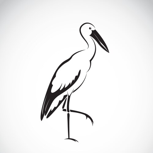 stork vector image