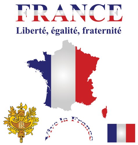 French flag vector image