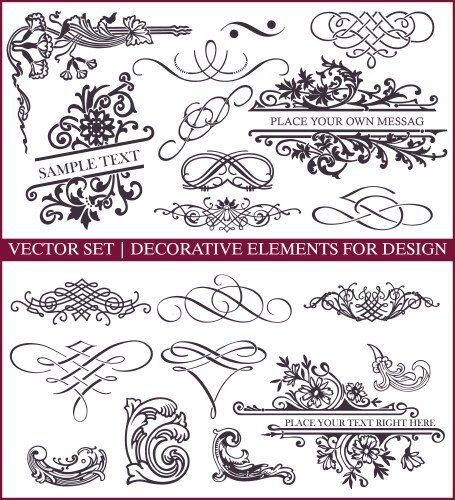 Calligraphic design elements vector image