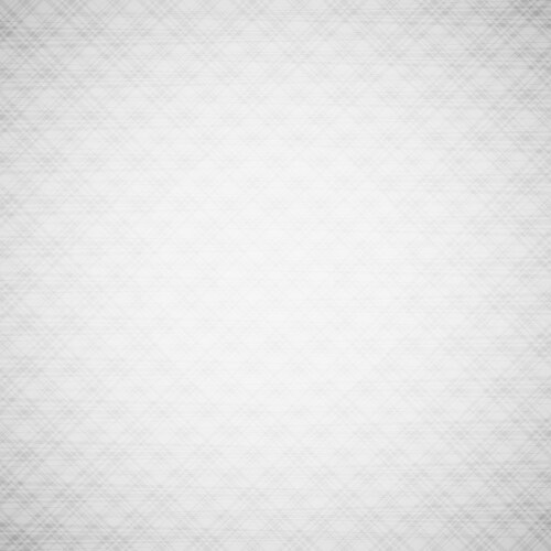 Canvas texture vector image