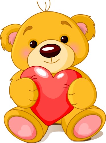 Bear with heart vector image