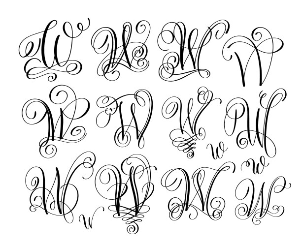 Calligraphy lettering script font w set hand vector image