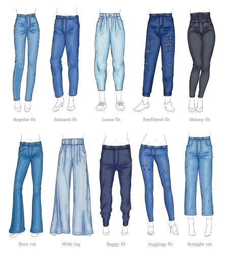 Set of female jeans models and their names sketch vector image