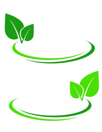 Background with green leaf vector image