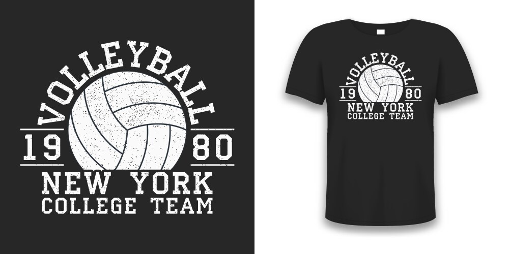 volleyball new york grunge print for apparel vector image