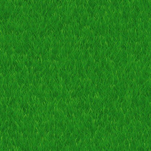 Green grass texture seamless pattern vector image