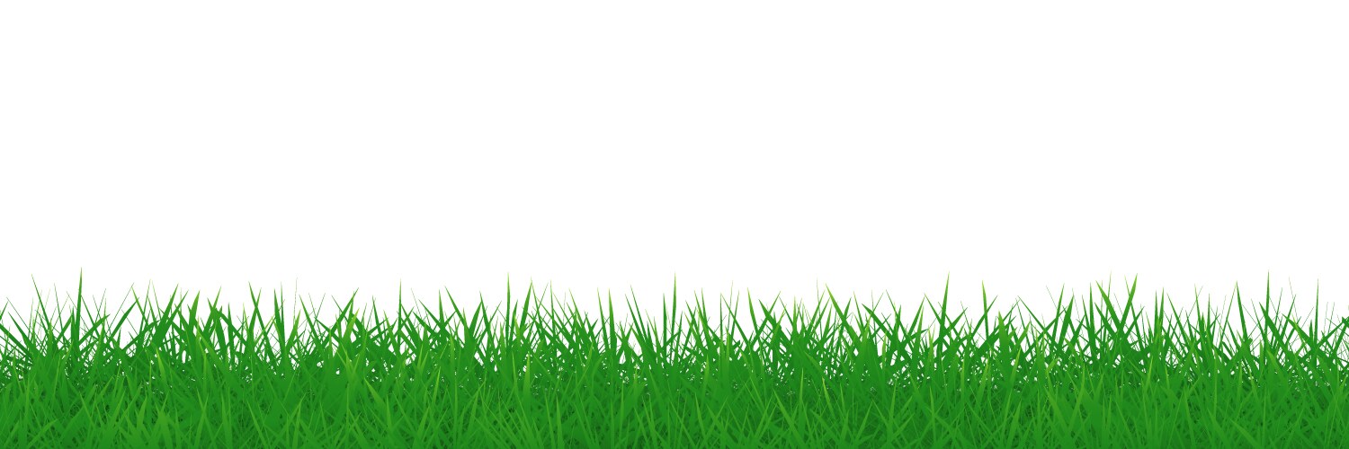 green grass border seamless texture vector image