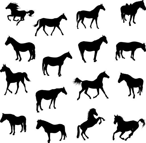 Horses vector image