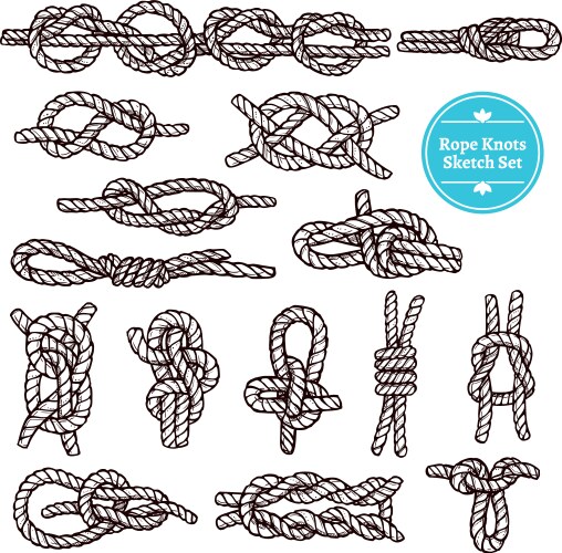 Rope knots sketch set vector image