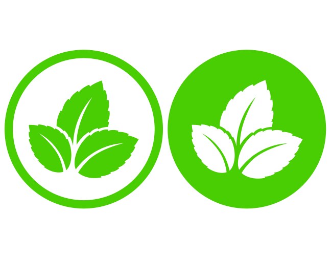 eco natural green leaves symbol i frame vector image