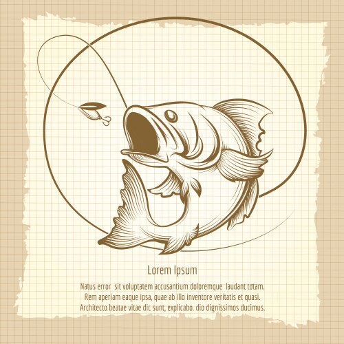 Fishing club emblem design vector image