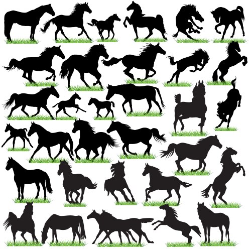 Horses silhouettes set vector image