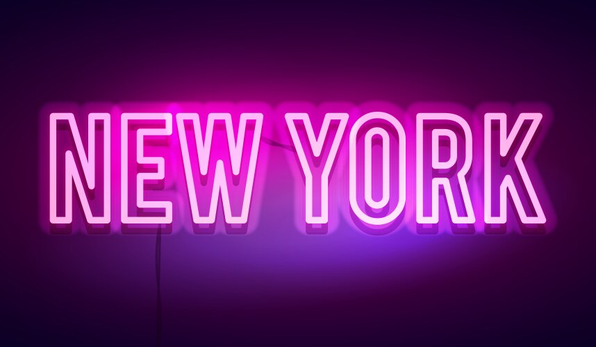 modern new york city neon light sign vector image