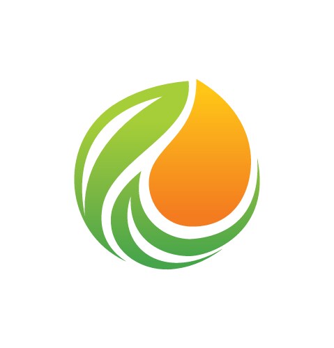 Organic bio leaf logo vector image