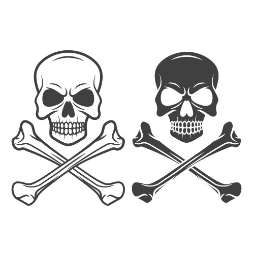 black and white skull crossbones icon vector image