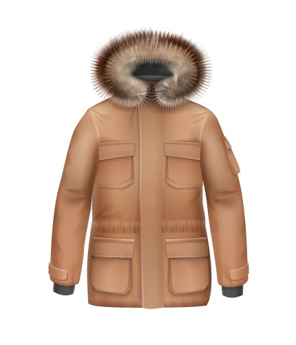 Brown winter coat vector image