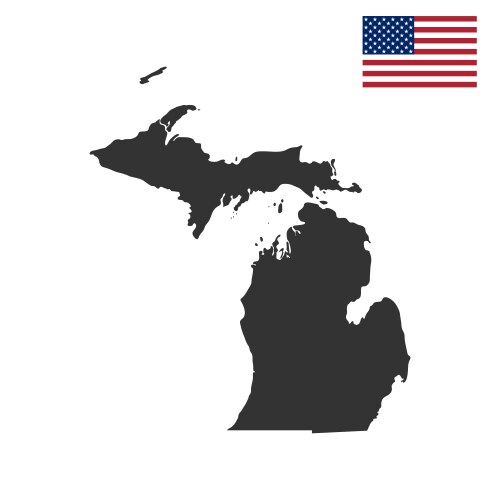 Map of the us state michigan vector image