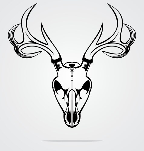 Deer skull tribal vector image