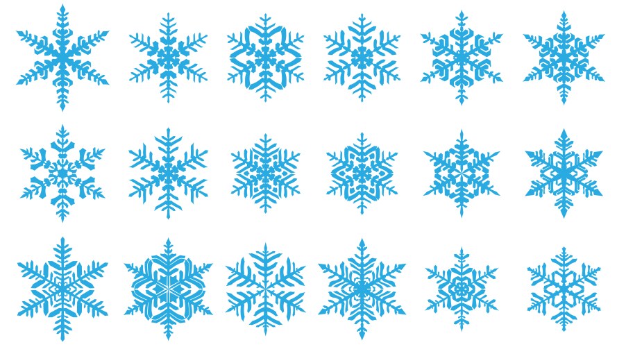 Set snowflakes vector image