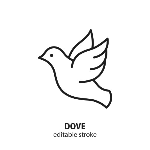 Dove line icon vector image