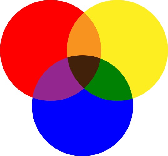 Primary colors of red yellow blue and mixing vector image