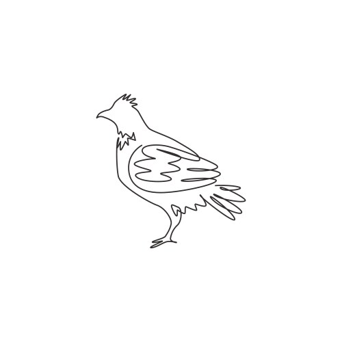 Single one line drawing adorable grouse bird vector image