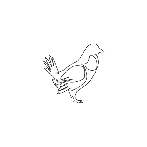 One continuous line drawing funny grouse bird vector image