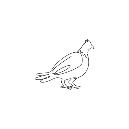 single continuous line drawing cute grouse vector image